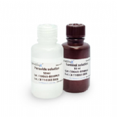 GeneDireX UltraScence Femto Western Substrate/ HRP 酵素冷光試劑